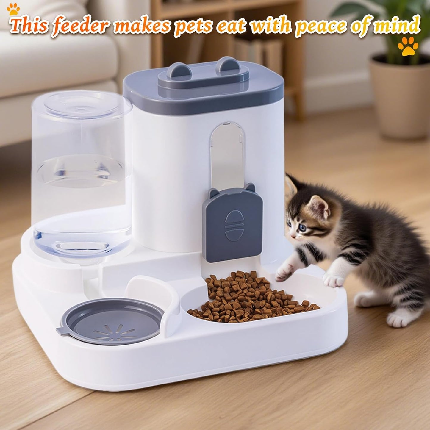 Automatic Pet Feeder and Fountain