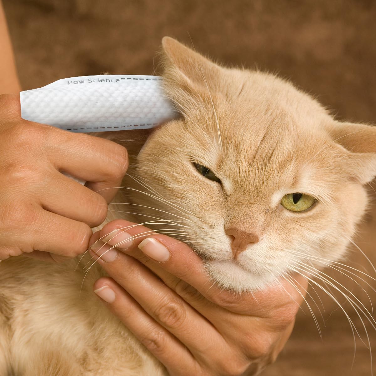 Gentle Pet Ear Care Wipes