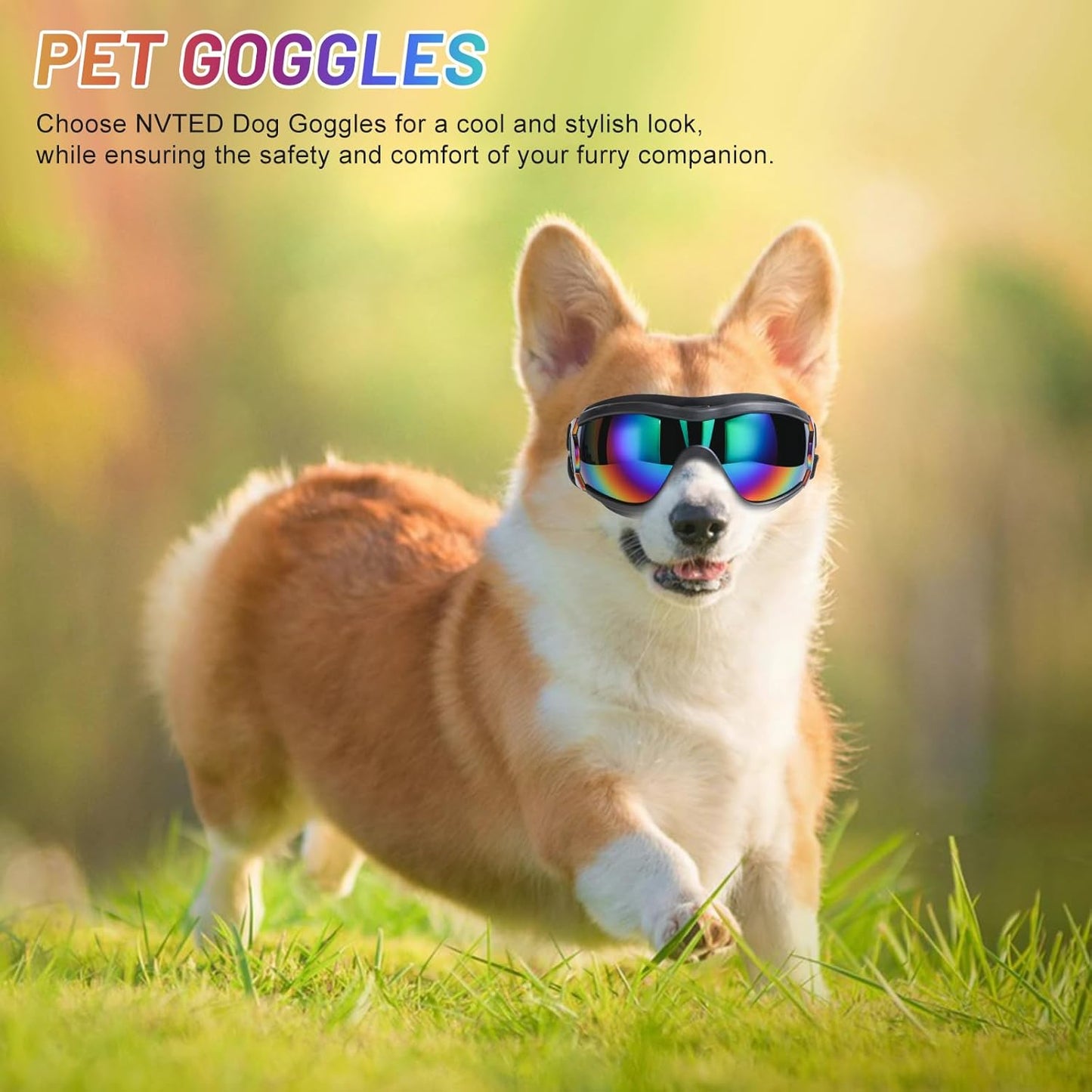 Chic Canine Adventure Shades