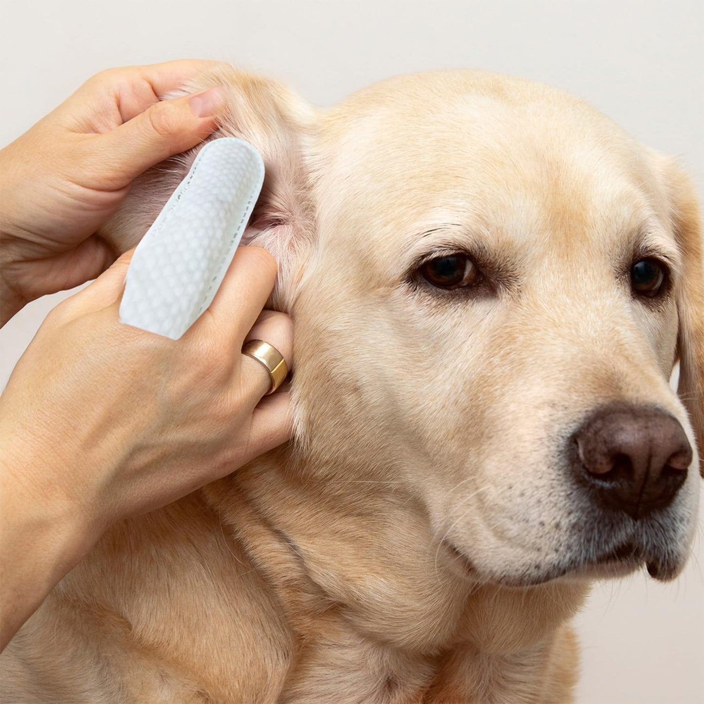 Gentle Pet Ear Care Wipes