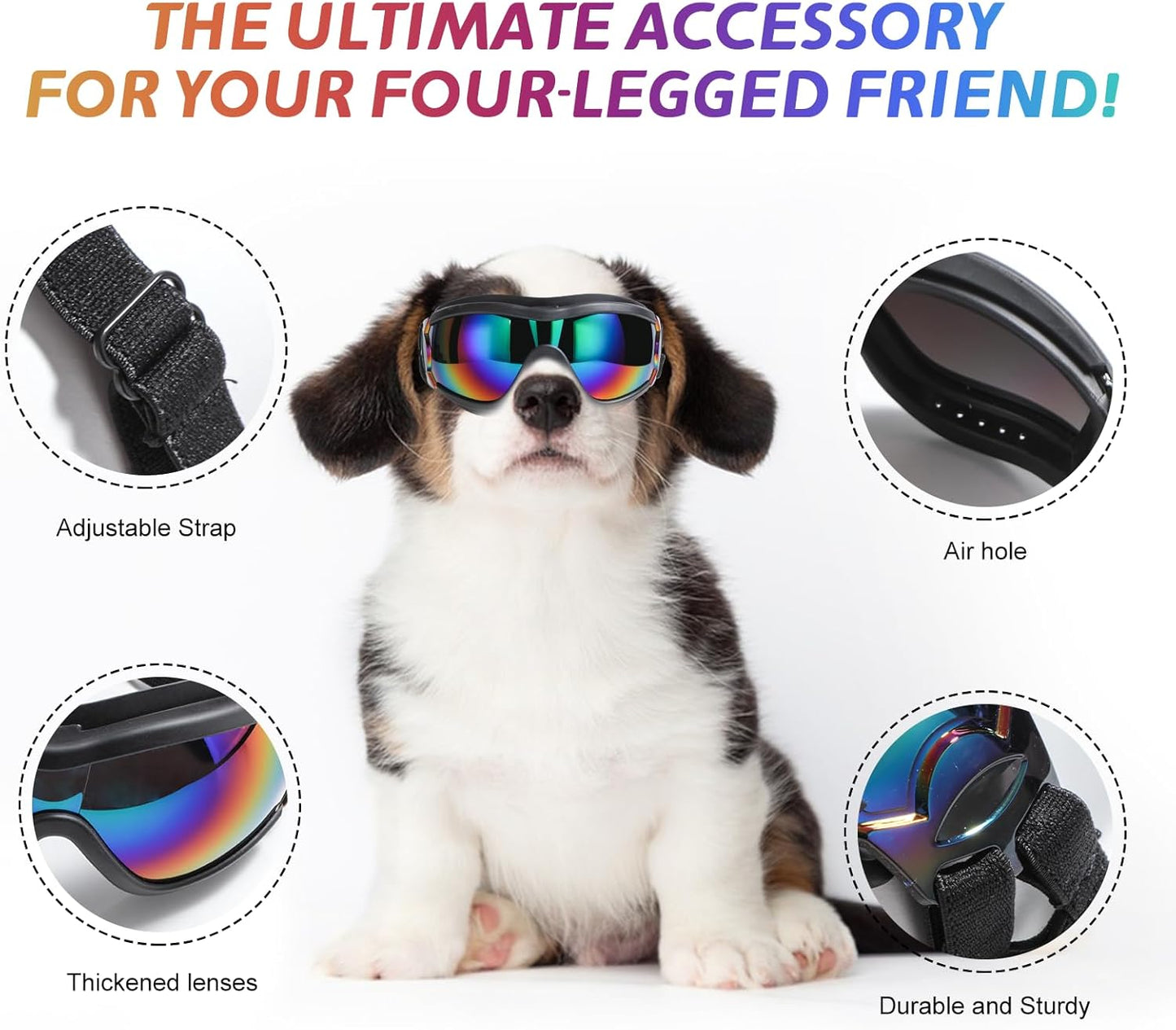 Chic Canine Adventure Shades