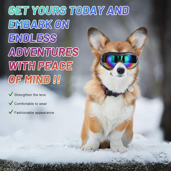 Chic Canine Adventure Shades