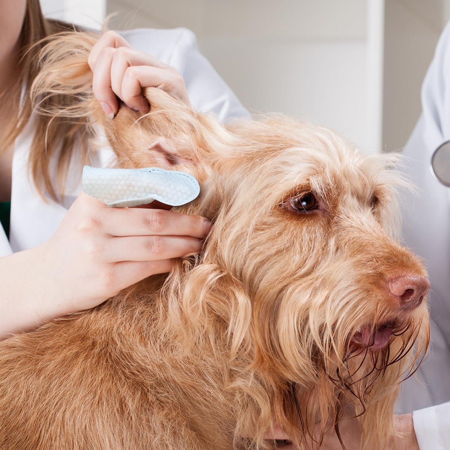 Gentle Pet Ear Care Wipes