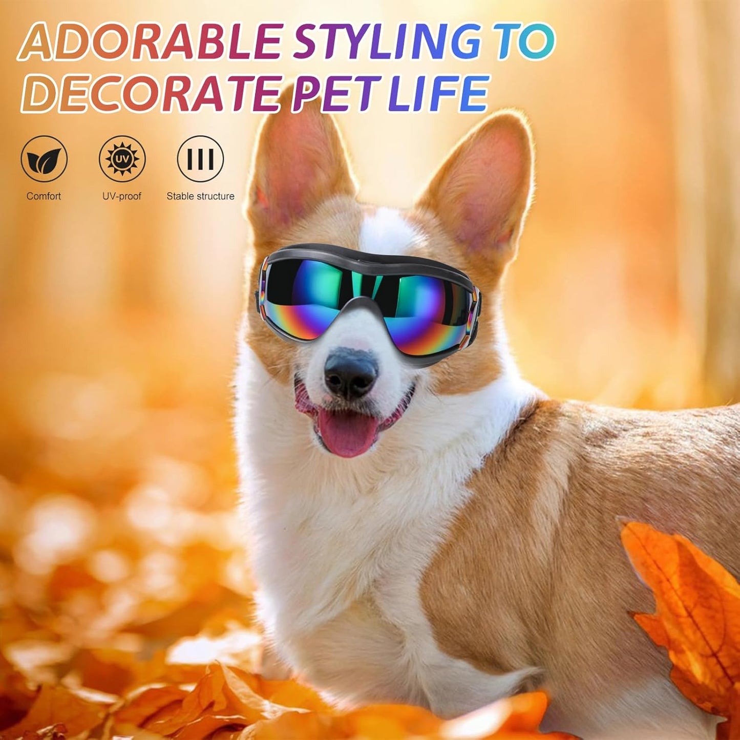 Chic Canine Adventure Shades
