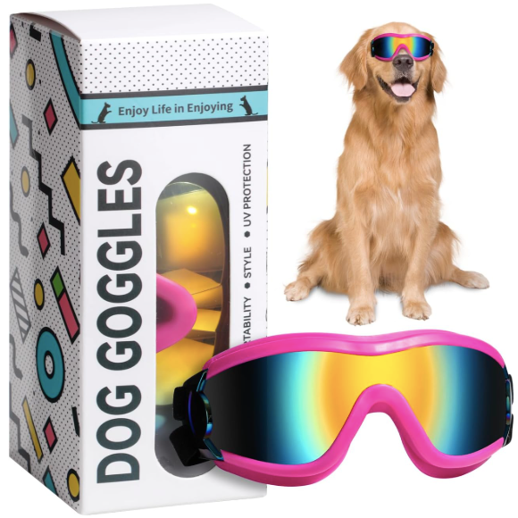 Chic Canine Adventure Shades